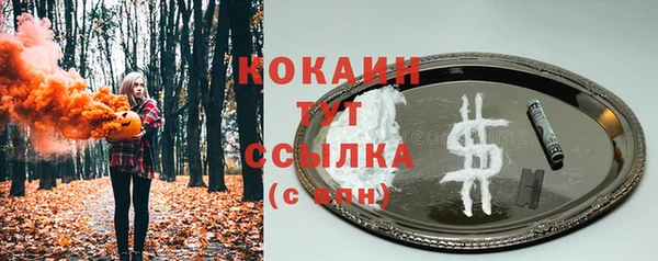 метамфетамин Ельня