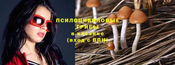 каннабис Елизово