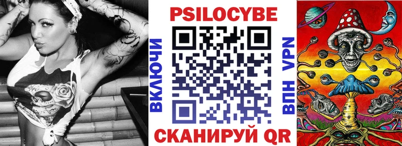 Псилоцибиновые грибы Psilocybe  Купить  Мглин 